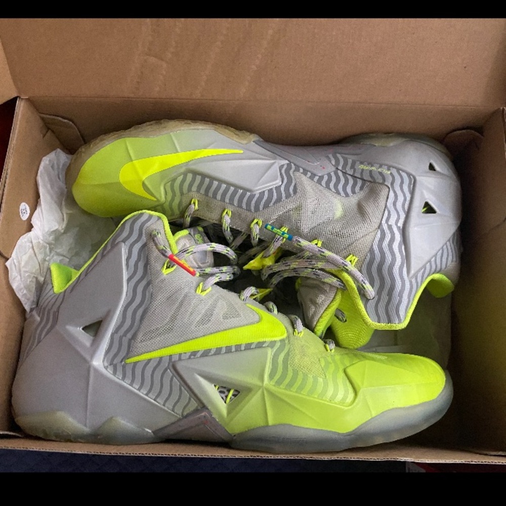 Nike Lebron yellow and grey men’s shoes size 9